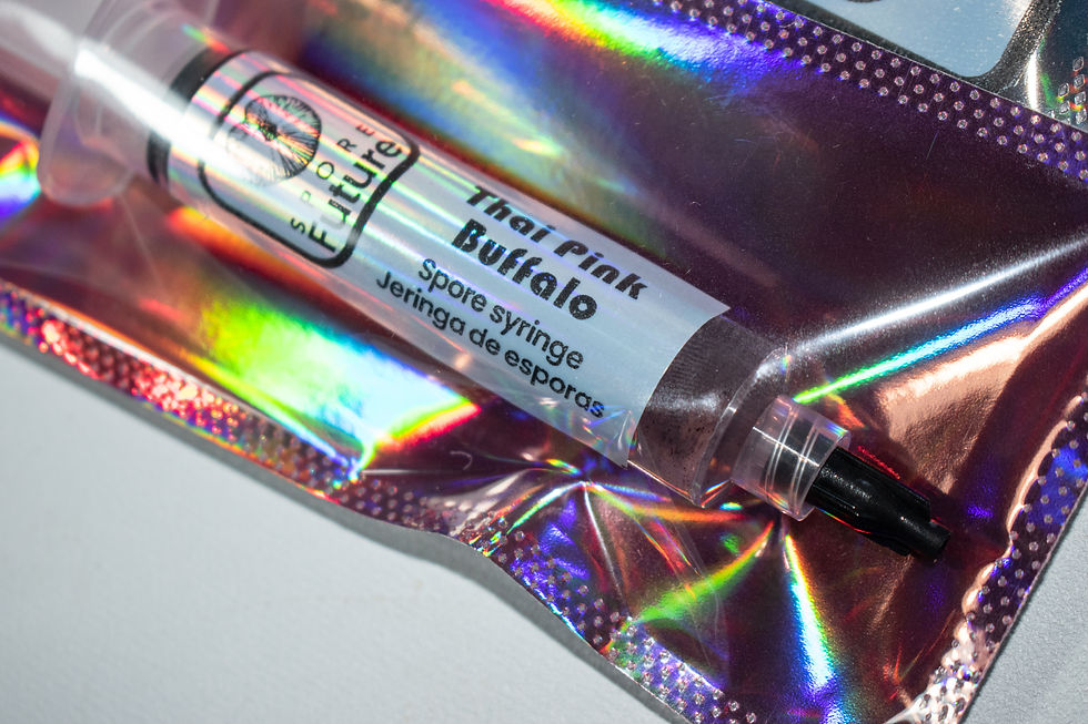 Miniatura: Jeringa de esporas Thai Pink Buffalo