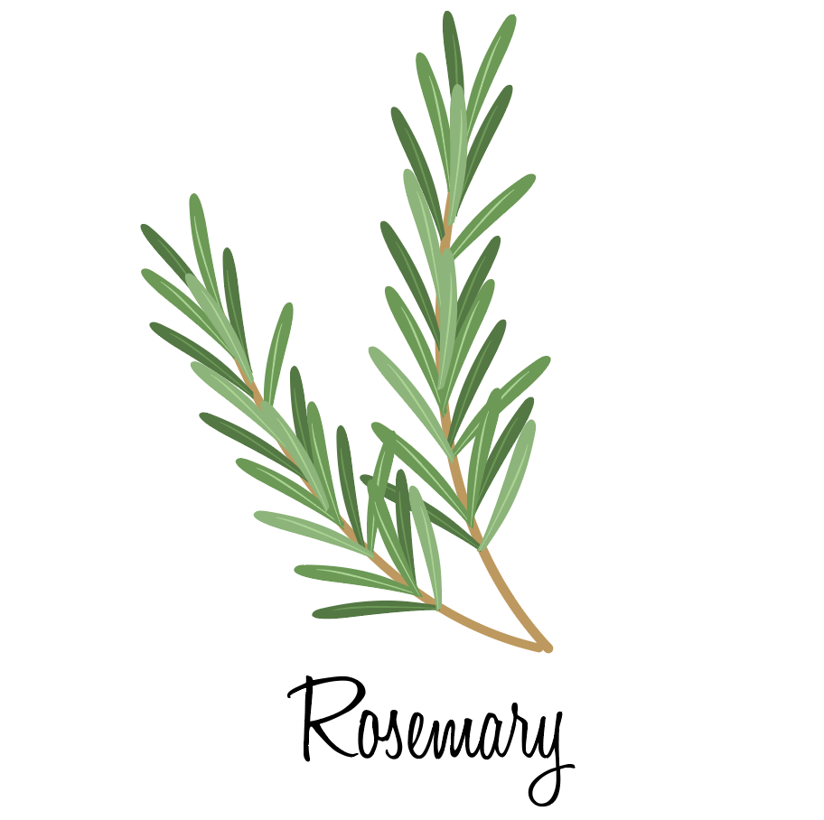 Rosemary, Munds Park, Arizona