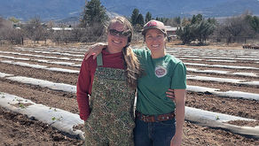 Laura Davis & Sarah Fox | Two Sisters Tomatoes