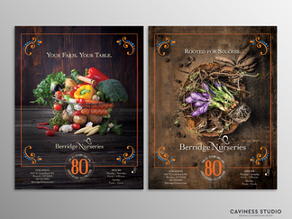 Client // Berridge Nursery // Phoenix, AZ