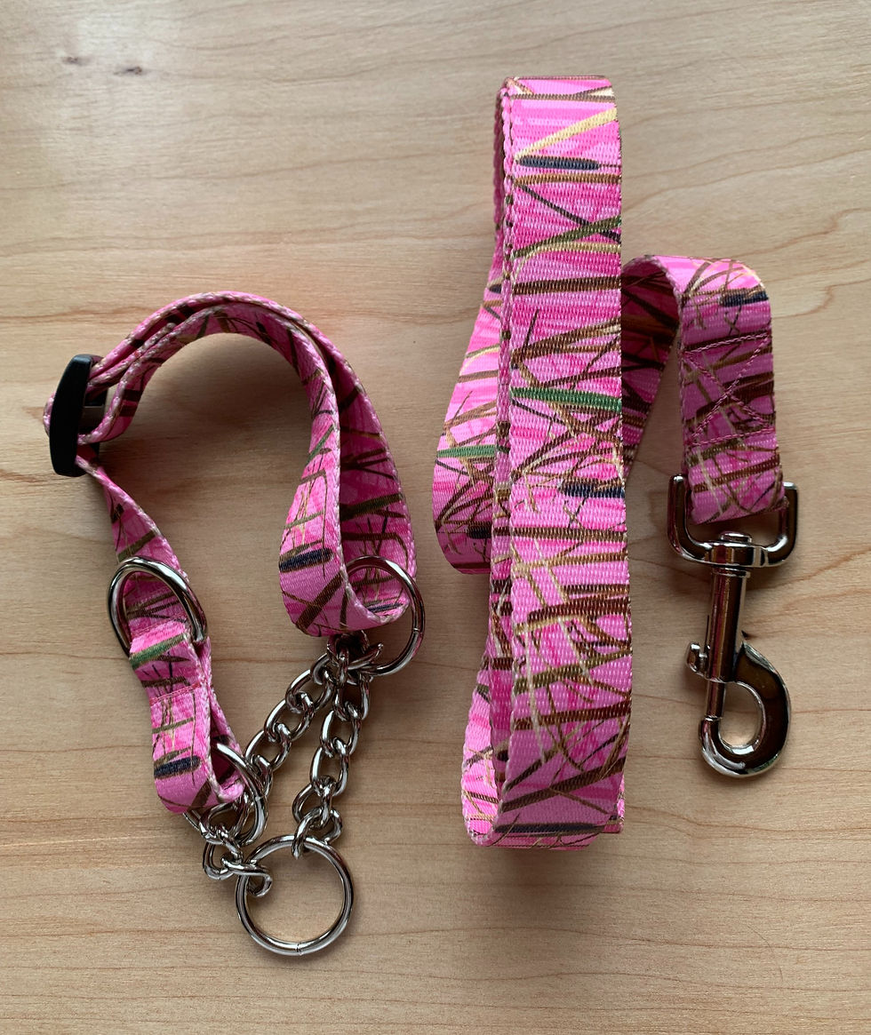 Pink Camo Dog Collar & Leash