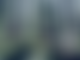 Dog Training: The BIG Picture