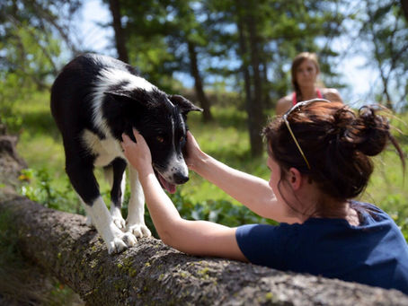 Canine-Human Co-evolution