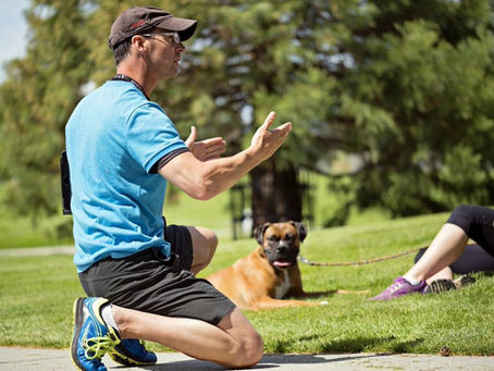 How to Become a Certified Dog Trainer in BC (British Columbia)