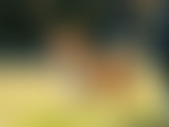 A dog pulling on leash surrey