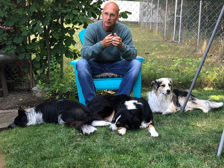 Dog Trainer Certification: What You Really Learn (And Why It Matters)