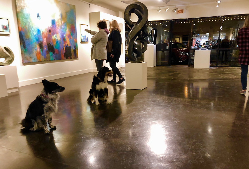 Two dogs quietly and calmly wait inside an art gallery in Arizona, they are trained to sit and stay.
