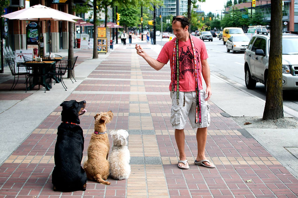 become a dog trainer Canada