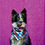 Thumbnail: Ice Cream Dog Bandana