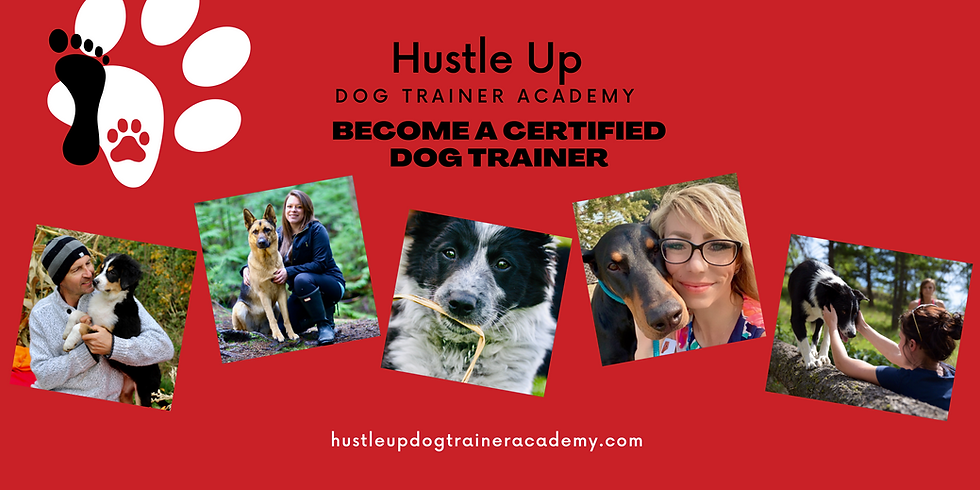 how to become a dog trainer canada