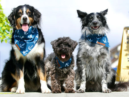 Well behaved dogs are only as good as the training, treat free is powerful