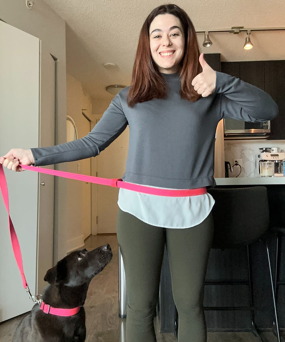 how to become a dog trainer in Canada: how to use dog training equipment properly