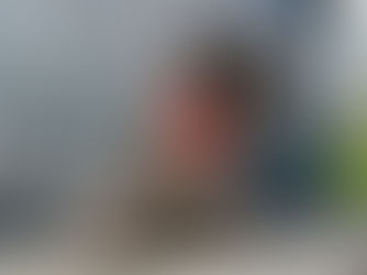 Curly-haired grey dog, Wolfe, with red star-patterned bandana sits on wooden deck. Metal tank in background. Tongue out, calm mood. Common Dog Training Myths in Vancouver.