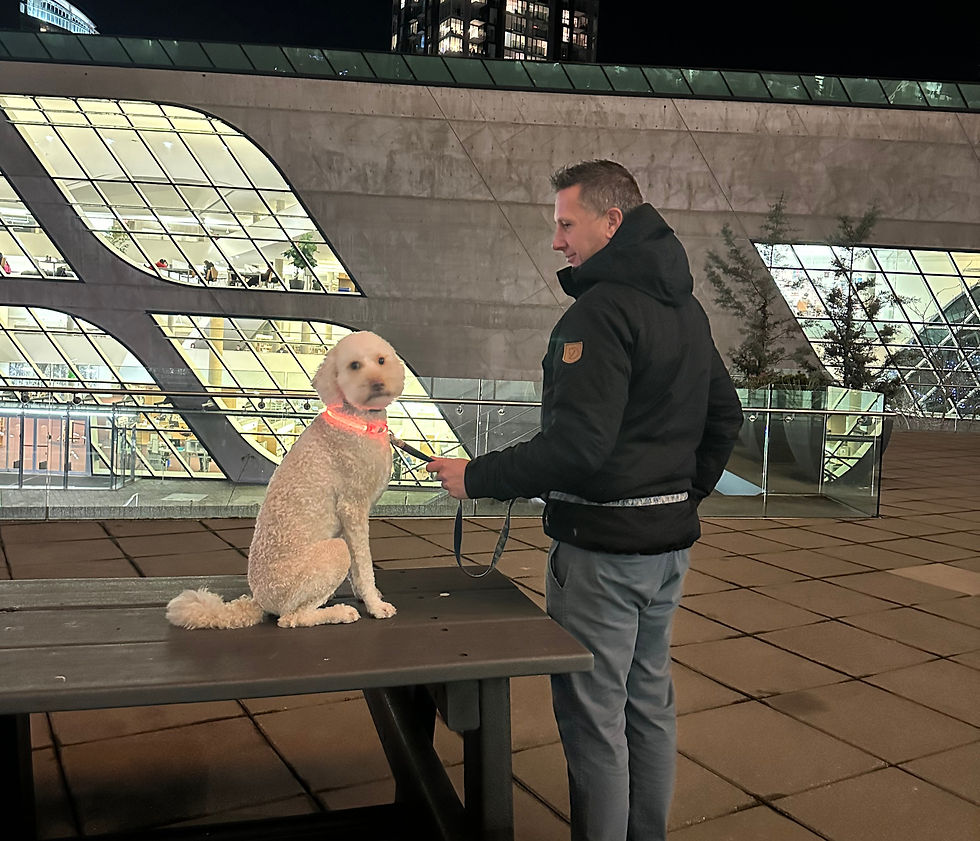 how to become a dog trainer canada