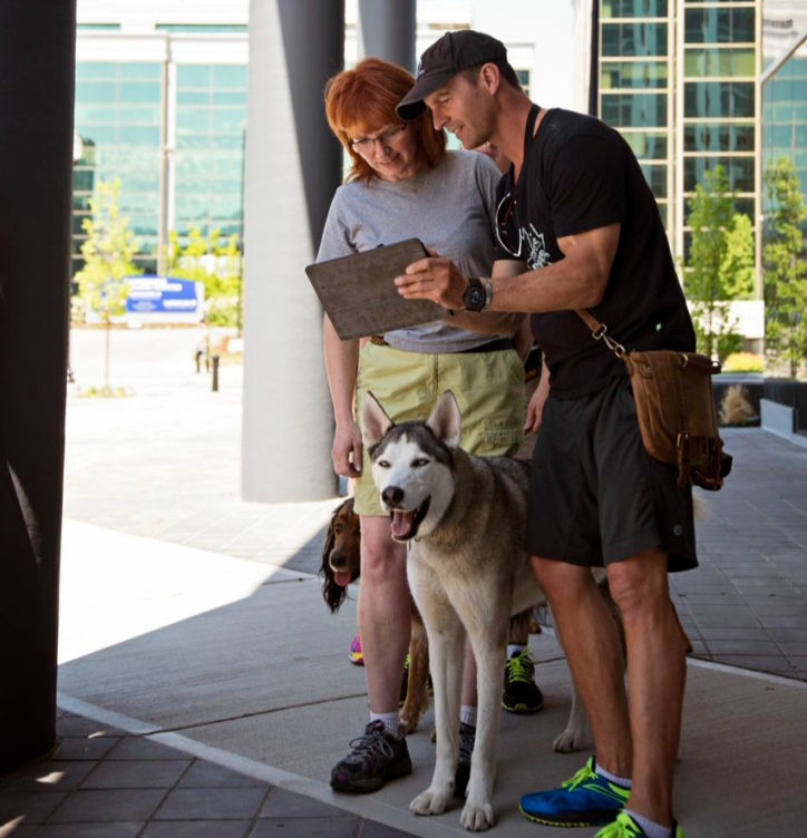How to become a dog trainer in Canada