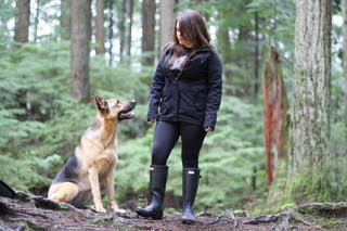 off leash dog training in Surrey BC with dog responding to recall in public environment