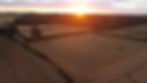 Meadow drone during heatwave