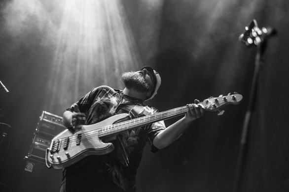 Will Wood & The Tapeworms