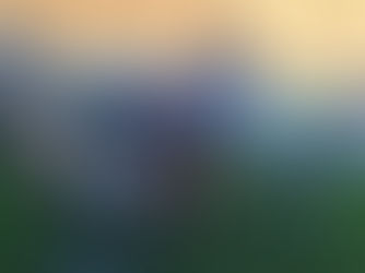 The Creative Side Hustle: Flipping Furniture as a Stay-at-Home Mom "Embracing the Journey"