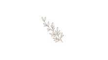 葉 線画.png