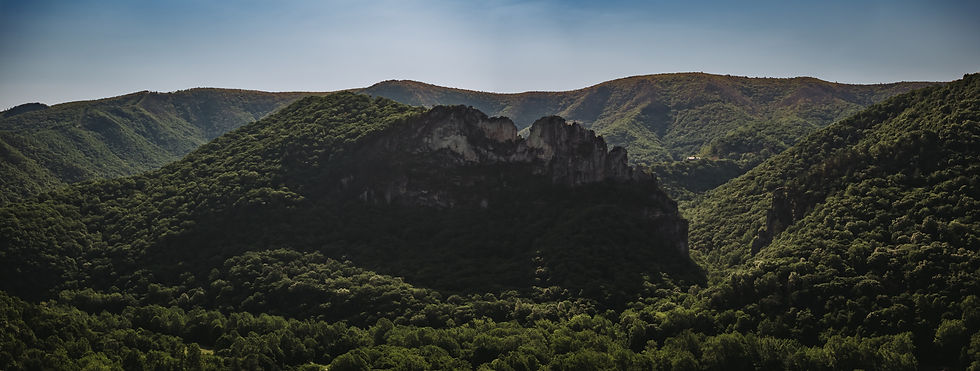 2025-07-03_WHM_Mon Forest Towns_Seneca Rocks_Aerial--8.jpg