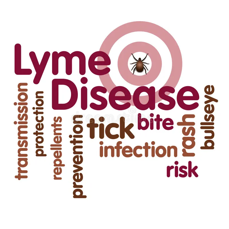 Lyme disease