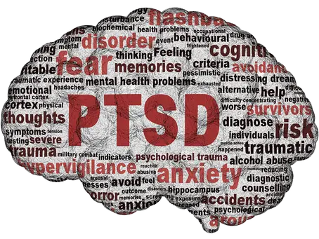 Understanding the Link Between PTSD and Protandim NRF2: A Promising Approach to Healing