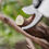 Thumbnail: Stihl ASA 20 Cordless Secateurs - excluding Battery and Charger