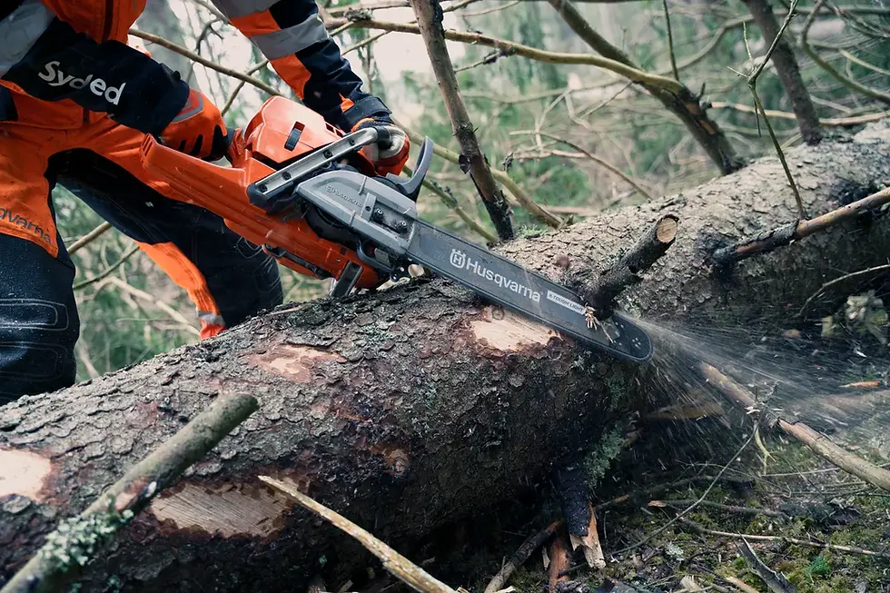 Thumbnail: Husqvarna 572XP 20" Petrol Chainsaw