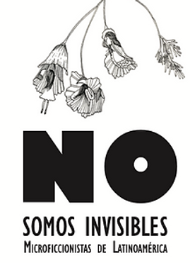 Nosomos invisilbles.png