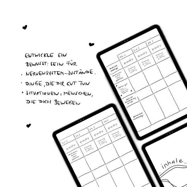 anitaliebt journalling – begleitjournal für selbstverbindung & nervensystem
