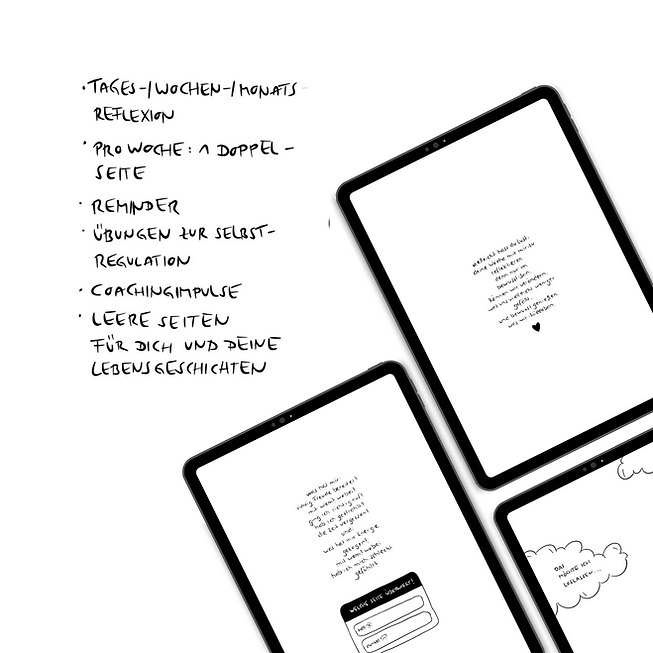 anitaliebt journalling – begleitjournal für selbstverbindung & nervensystem