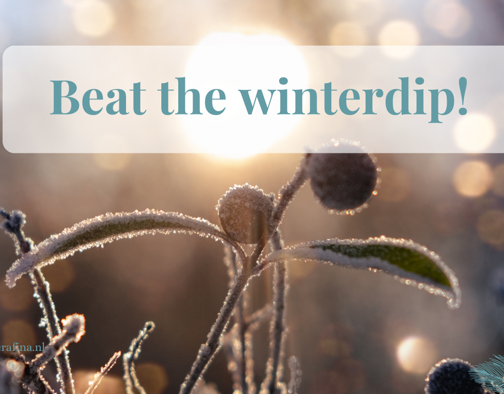 ‘Beat the winterdip! Duik met mij 21 dagen lang in de schoonheid van de winter’ (Website).