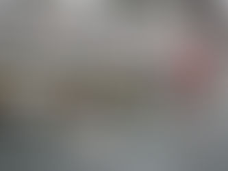 Auditoría Externa: "Packaging Sostenible"