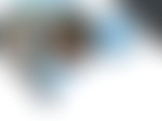 Hairloss Solution Before and After