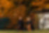 0G6A8039.jpg