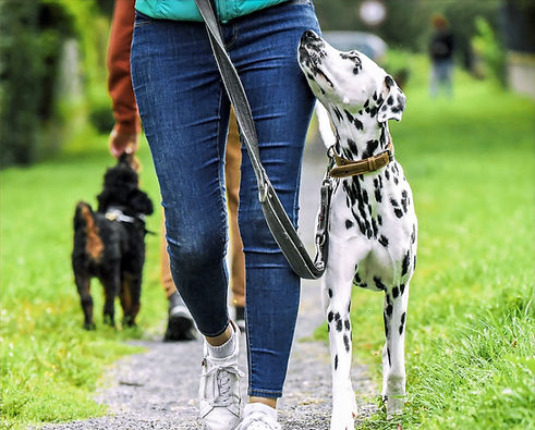 csm_Martina-Basista_Hundetrainerin_Martin-Rütter_Hundeschule_Linkes_Zürichseeufer-Zug-Lein