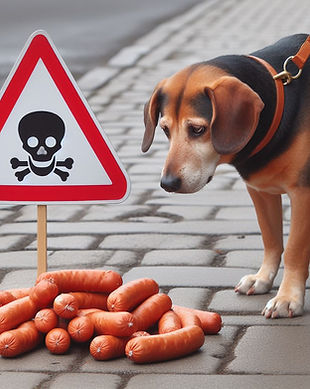 Anti Giftköder.jpeg