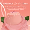 Skins Rose Buddies Rose Purrz • סקינס בלום באדיס: ניצן ורד עם טפיחות עדינות