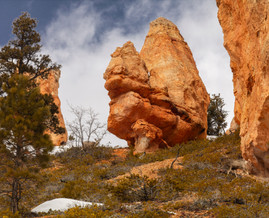 Bryce Canyon, NP