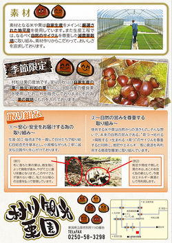 LINK FARM様 チラシ