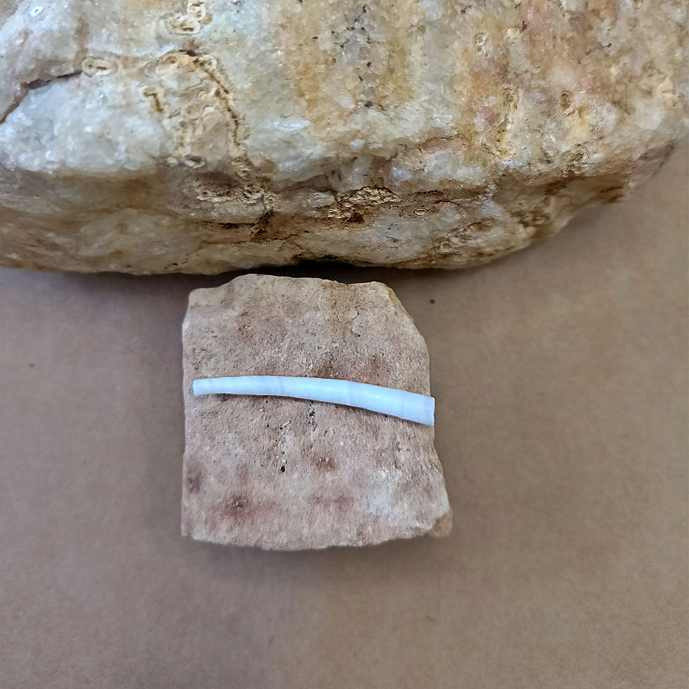 mangal dosh nivaran,mangal kanta,Natural Mangal Kaanta, Buy Jyotish Darshan Mangal Kanta Lab Certified,manglik meaning,mangal dosha,manglik,mangal dosha calculator,manglik calculator,manglik dosha calculator,check manglik,manglik check,manglik dosha check,manglik kya hota hai