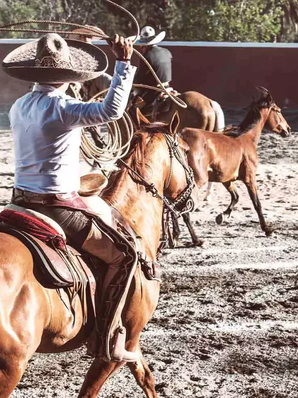 Día Nacional del Charro: tradición, identidad y retos