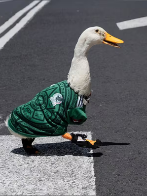 El pato Merlín: la sensación viral que conquista el Mundial 2026