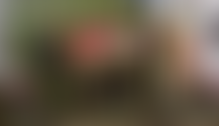 Gobierno federal lanza Plan Nacional de Maíz Nativo "El Maíz es la Raíz"