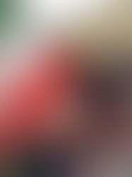 Irán rechaza plan de paz de Trump y exige fin de "agresiones y asesinatos".