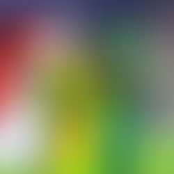 México sufre dura eliminación en el Mundial Sub-17 tras goleada 5-0 ante Portugal