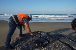 Desastre ambiental en Veracruz: derrame de hidrocarburos supera los 630 km de costa