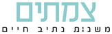 צמתים.png