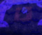 Tickets – Black Light longarm quilting detail
